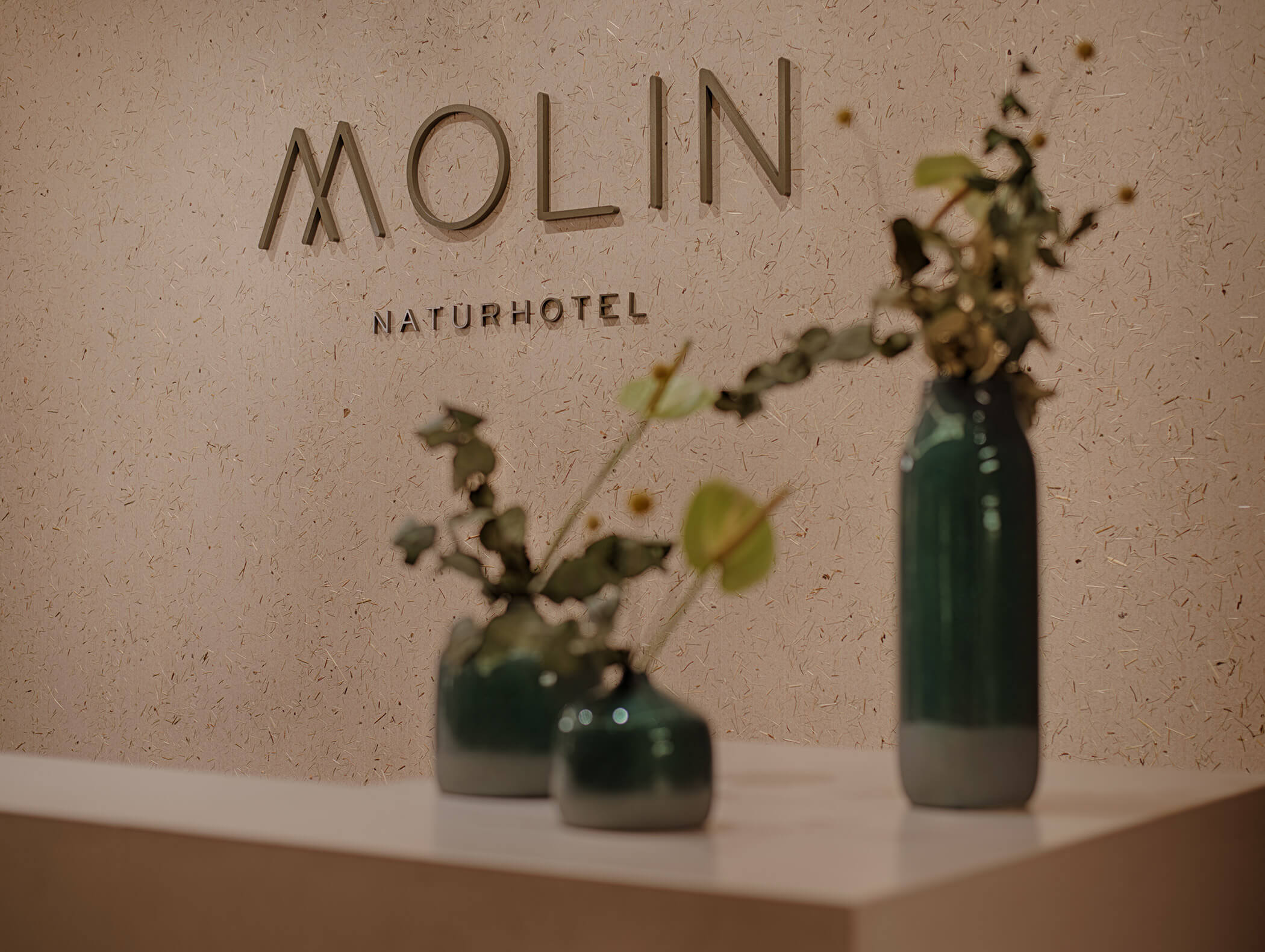 Molin - Riferimento Dantone